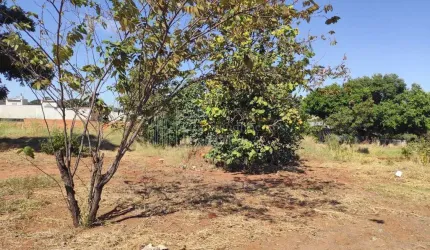 Terreno à venda, Vila Vilas Boas, CAMPO GRANDE - MS