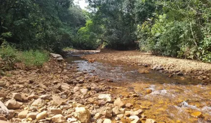 A&M IMOVEIS VENDE EXELENTE CHACARA COM 46,89 HECTARES TODA FORMADA NA FERCAL COM RIO