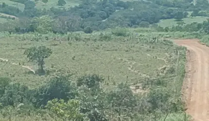 A&M IMOVEIS VENDE EXELENTE FAZENDA COM 52,59HECTARES
