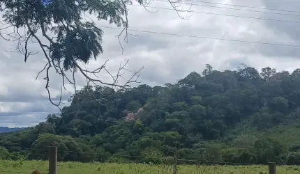 A&M IMOVEIS VENDE FAZENDA NO BOQUEIRAO NA FERCAL COM 101 HECTARES