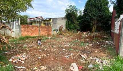 Terreno de oportunidade na Morada do Bosque