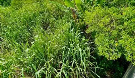 Terreno à venda, 360 m² por R$ 385.000,00 - Jardim Bela Vista - Rio das Ostras/RJ