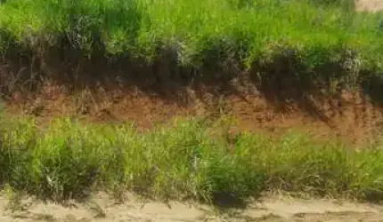 Terreno à venda, 450 m² por R$ 95.000,00 - Mar do Norte - Rio das Ostras/RJ