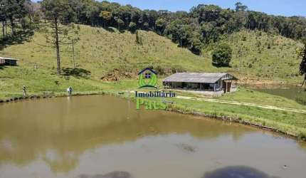 Chácara / sítio à venda no Matulão, Tijucas do Sul  por R$ 550.000