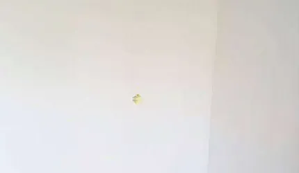 Apartamento com 2 dormitórios à venda, 60 m² - Vila Nossa Senhora das Graças - Taubaté/SP