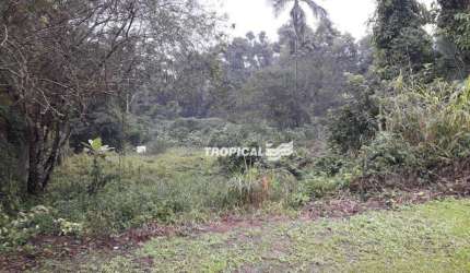 Terreno à venda, 1032 m² por R$ 340.000,00 - Ribeirão Fresco - Blumenau/SC