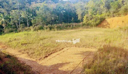 Terreno à venda, 1100 m² por R$ 230.000,00 - Gaspar Alto - Gaspar/SC