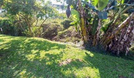 Terreno à venda, 420 m² por R$ 249.000,00 - Fortaleza - Blumenau/SC