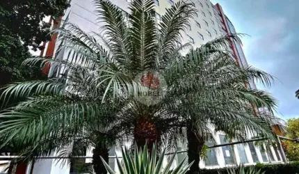 Apartamento com 1 Quarto(s) e 1 banheiro(s) para Alugar, 30 m² por R$ 2000 / Mês