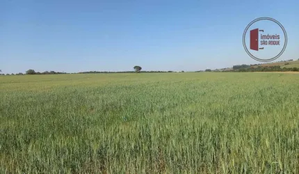 Vende-se fazenda de 38 alqueires altamente produtiva - Avaré