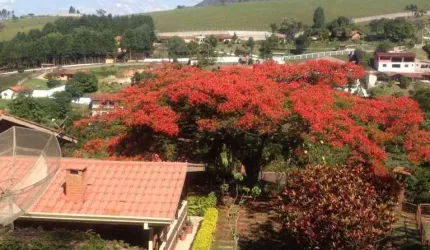 Chacara alto padrão em Araçariguama com 12360 m²