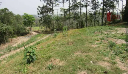 Sítio com 23 Alq em Piedade