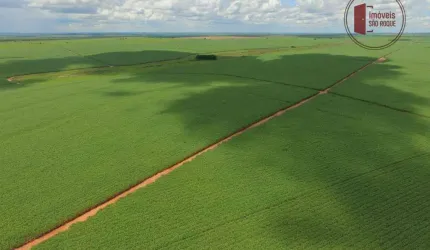 Fazenda  com 400 alq Presidente Prudente e região.