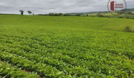 Sitio com 20 alq na Região  de Sorocaba