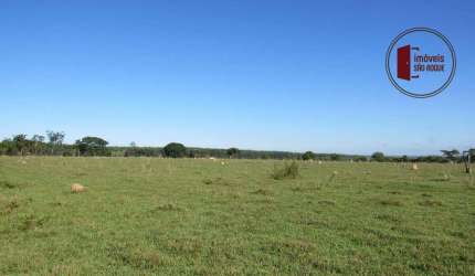 Fazenda  em Angatuba  com 115 alqueires.