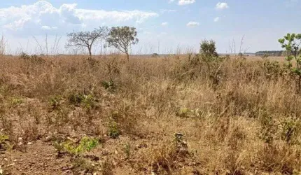 Chácara 6 Hectares Escriturada e Registrada no PADEF !!! 650.000 !!!