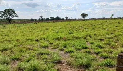 Vendo Chácara Escriturada DF 130 2.6 Hectares !!! 350.000 !!!