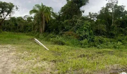 Terreno à venda, 187 m² por R$ 85.000 - Diamantina - Itapoá/SC