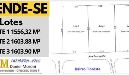 3 Lotes no Bairro Floresta para Investidor