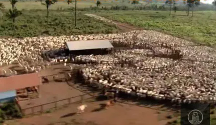 Fazenda à venda, 4270000000 m² por R$ 8.000.000.000 - Nova Marabá - Marabá/PA