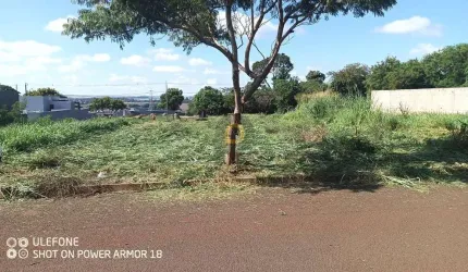 Terreno à venda no bairro Jardim Pancera - Toledo/PR