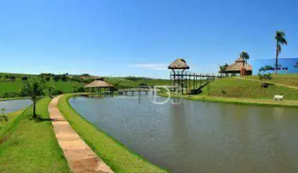 Terreno à venda, 2600 m² por R$ 480.000,00 - Ecovillas do Lago - Sertanópolis/PR