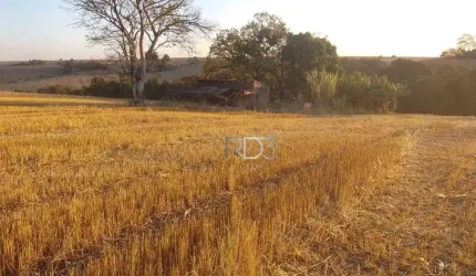 Terreno de 40 mil metros próximo de Ibiporã,