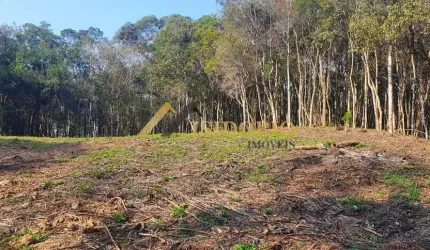 EXCELENTE CHÁCARA EM CAMPO LARGO! 20.000m² DE ÁREA TOTAL