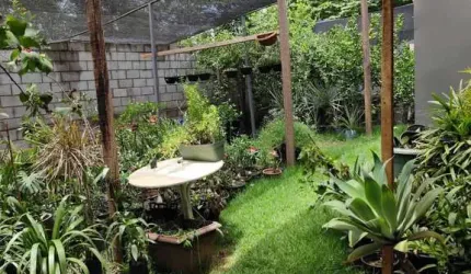 Casa para venda e locação, Santa Rosa, Cuiabá, MT