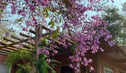 Rancho à venda, 1, Chapada dos Guimarães, MT