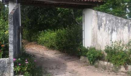 Excelente Chácara 1 hec em Gambá Próx Tejucupapo, Aceito Carro, Ótima Localização