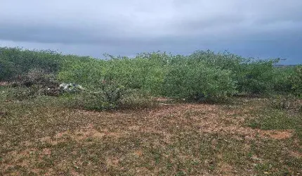 Oportunidade Única em SAO VICENTE - RN | Tipo: Terreno | Negociação: Venda Direta Online  | Situação: Imóvel