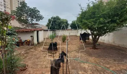 Terreno Padrão em Araçatuba