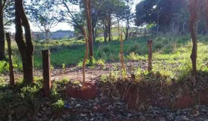 Rural Chácara em Araçatuba