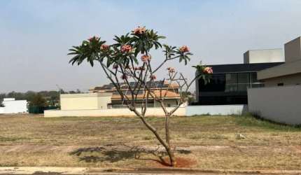 Terreno no Condomínio Royal Boulevard Residence e Resort Premium Araçatuba/SP