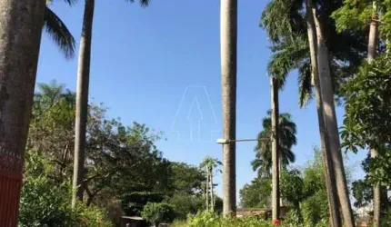 Terreno Área em Araçatuba