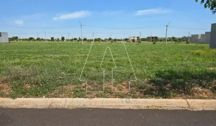 Terreno no Condomínio Residencial Vila Madalena II em Araçatuba/SP