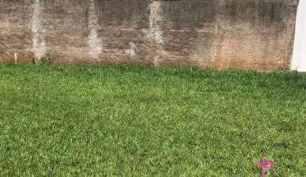 Terreno à venda, 133 m² por R$ 115.000 - Cidade Jardim - Leme/SP