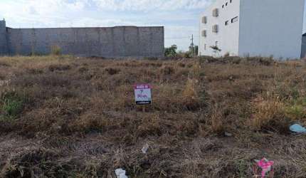Terreno à venda, 490 m² por R$ 270.000,00 - Parque Alto das Palmeiras - Leme/SP