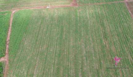 Terreno à venda, 4980 m² por R$ 300.000,00 - Área Rural - Pirassununga/SP