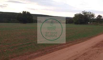 Fazenda Dupla Aptidão com 53 Alqueires em Itapetininga - SP