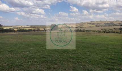 Fazenda de 87 Alqueires com Haras em Itapetininga - SP