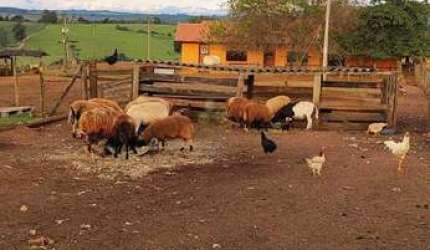 FAZENDA COM 60 ALQUEIRES A VENDA NA REGIÃO DE ITAPETININGA-SP