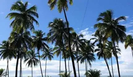 Venda de Belíssima casa Casa em BARRA DE SIRINHAEM - PE