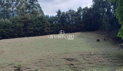 TERRENO EM CAMANDUCAIA MG 6.000MTS R$ 395MIL AGUA MINA
