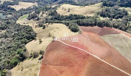 Fazenda em Munhoz MG à Venda ESCRITURA NASCENTES RIO 30 alqueires