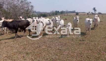 Sitio para venda em Itapetininga