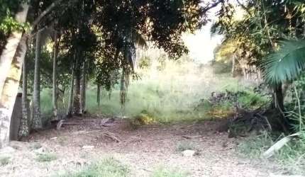 Sítio à venda no bairro Imigrantes em Guabiruba/SC