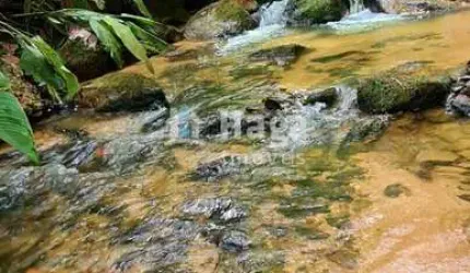 Terreno rural à venda em Nova Trento/SC