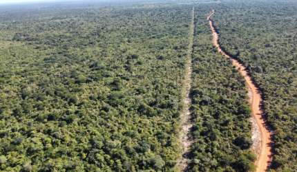 fazenda disponível á venda ligue 86 98106 0359